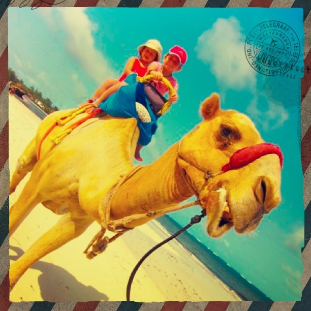 Symbolbild: Glückliche Kindererziehung mit Kamel.