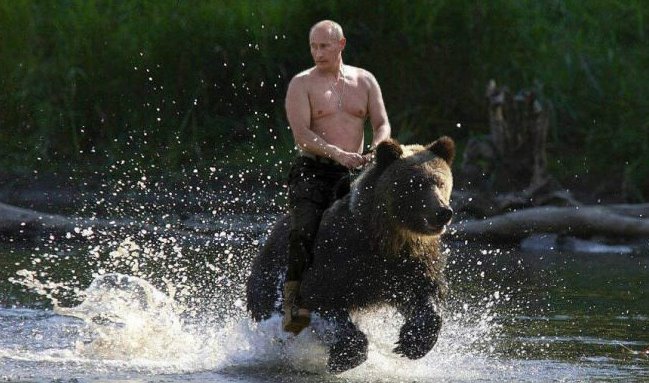 Symbolbild: Putin reitet auf einem Bären durch Russland
