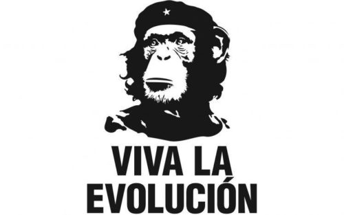 Evolutionsgegner geben nicht auf