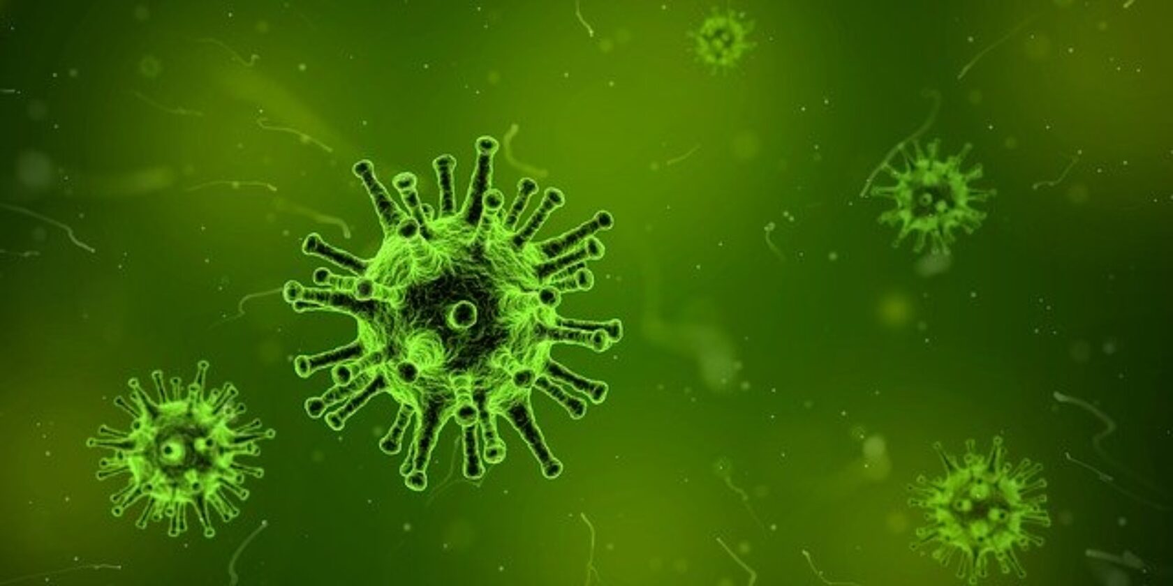 Coronavirus – das große Unbekannte