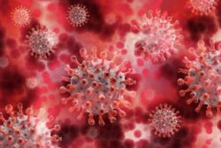 rC3: über mutierte Viren